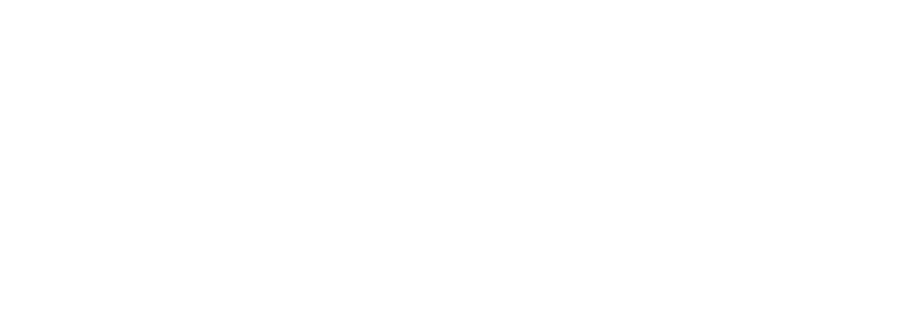 Shopify Select Partner