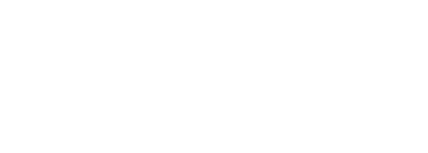 Shopify Select Partner